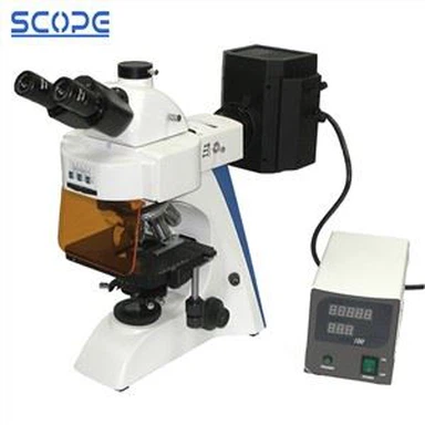 Mercury Lamp Epi Fluorescentiemicroscopie